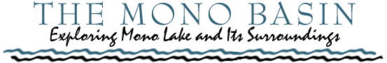on to Mono Lake Homepage
